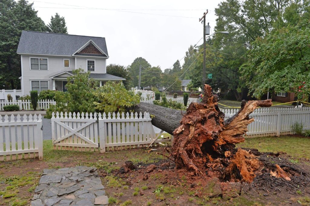 wind damage Hurricane Ian Insurance Claims